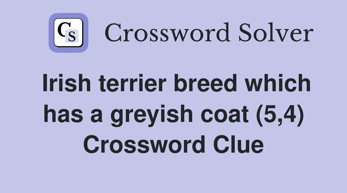 Irish terrier breed which has a greyish coat (5,4) Crossword Clue